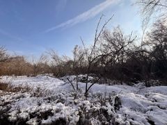 -水磨沟公园