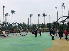 -枫香湖儿童公园