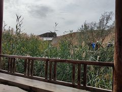 -水洞沟旅游区