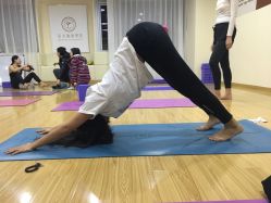 点击看大图 -亚太瑜伽普拉提学院