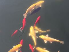 -文瀛公园