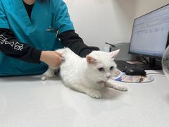 -中农大我爱我爱动物医院·核磁CT·猫病·24小时夜诊中心(石佛营店)