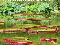 -国家植物园南园