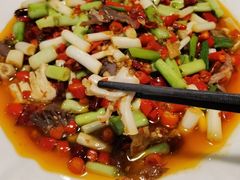 -飞虹鱼馆(春华路店)