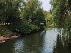 -上海滨江森林公园