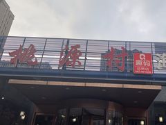 -桃源村铁锅炖鱼(体育馆道店)