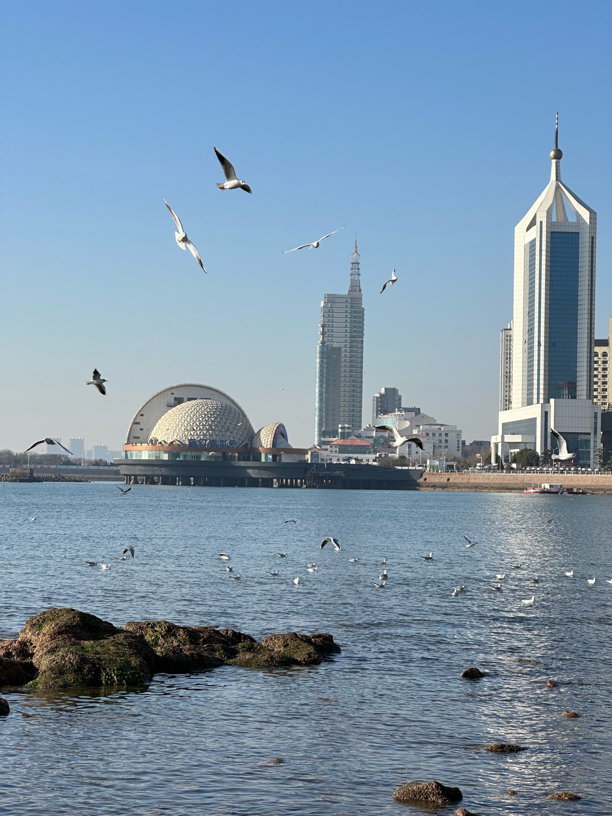 「前海沿·青岛菜(证大·大拇指广场店)」