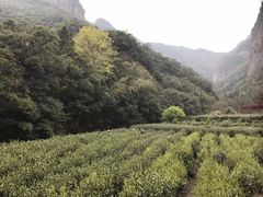 -雁荡山风景名胜区