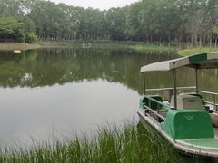 -东郊湿地公园