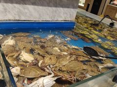 -川骄海鲜自助(河东店)