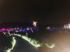 -大塘金香草谷