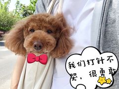 -申普宠物医院·眼科·心内科·影像科(普陀分院)