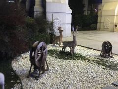 -碧桂园凤凰城酒店(南京店)