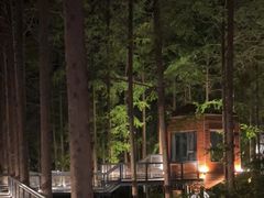 -黄海国家森林公园