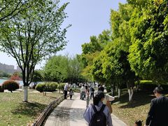 -桐乡凤凰湖