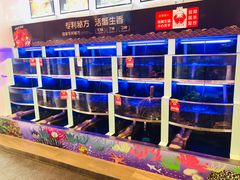 水产区-七欣天(浦东羽山乐坊店)