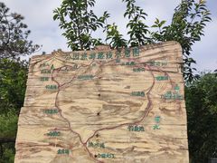 -金龙寺国家森林公园