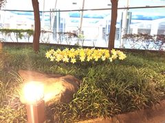 -灵秀温泉