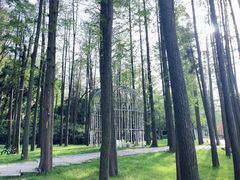 -上海月湖雕塑公园