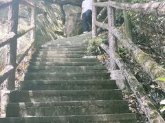 -缙云山景区