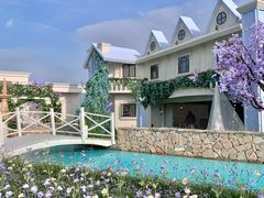 -Blue Concept Cafe&Farm·關於藍