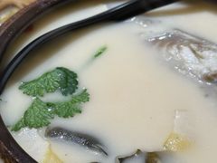 -吉之仙•中国制造•出口级食材日料店(领事馆总店)