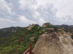 -大岭沟猕猴桃谷风景区