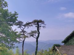 -莫干山风景区