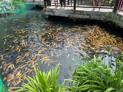 -本溪水洞