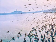 -北海公园