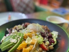 健康能量沙拉-Famous肥猫墨西哥音乐餐吧(五棵松华熙LIVE店)