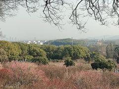 -无锡梅园公园