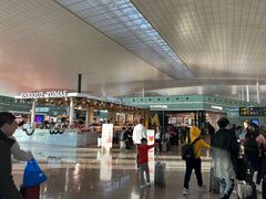 -巴塞罗那约瑟·塔拉德利亚斯-埃尔·普拉特机场