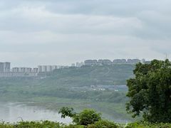 -金海湾滨江公园