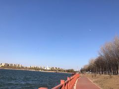 -丁香湖公园