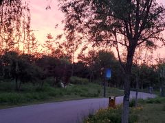 -东郊湿地公园