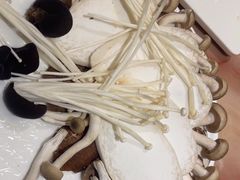 -清真军邺·金富苑肥牛(石坡街旗舰店)