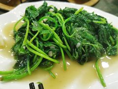 -重庆火锅水库鱼庄(南油店)