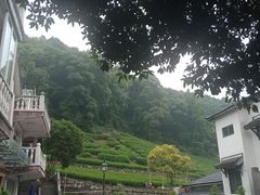 景观位-自在弥林花园餐厅(云栖店)