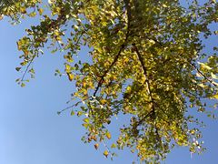 -宝界山林公园