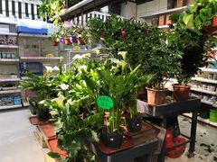 -山东嘉汇文化用品有限公司张店凤凰国际分公司(新村西路店)