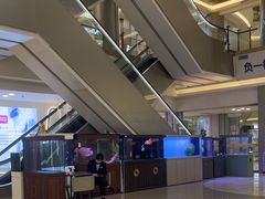 -红星美凯龙(上海沪南店)