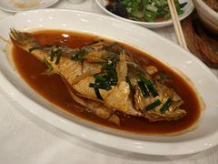 -天天渔港(杏林街店)