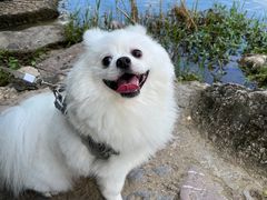 -贵阳市花溪国家城市湿地公园