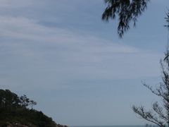 -广东惠东海龟国家级自然保护区