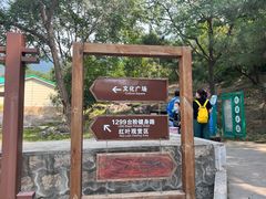 -北京十三陵国家森林公园蟒山景区