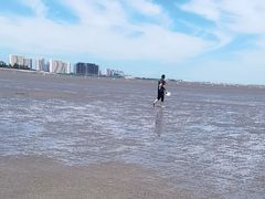-奉贤海滩