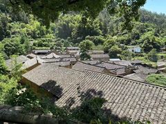 -杨家堂村
