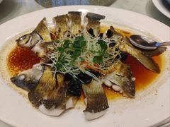 -龙悦湾酒家·八阵鱼生·渔人码头店