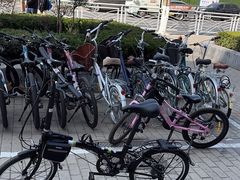 -道路口单车爱瓦士dahon大行